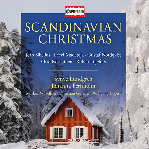 Scandinavian Christmas