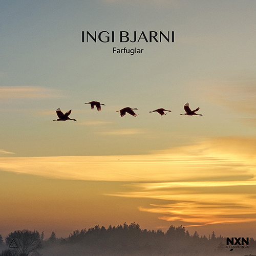 INGI BJARNI: Farfuglar