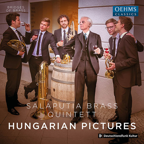 Hungarian Pictures – BARTÓK, B. • PETROVICS, E. • SZOKOLAY, S. • LISZT, F.