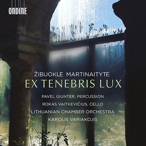 MARTINAITYTE • Ž.: Ex Tenebris Lux • Nunc fluens. Nunc stans. • Sielunmaisema