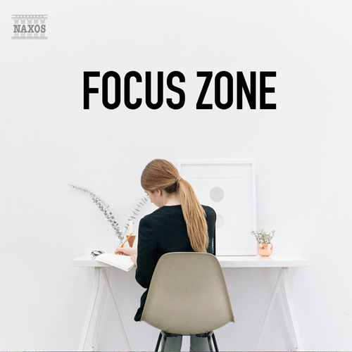 Focus Zone