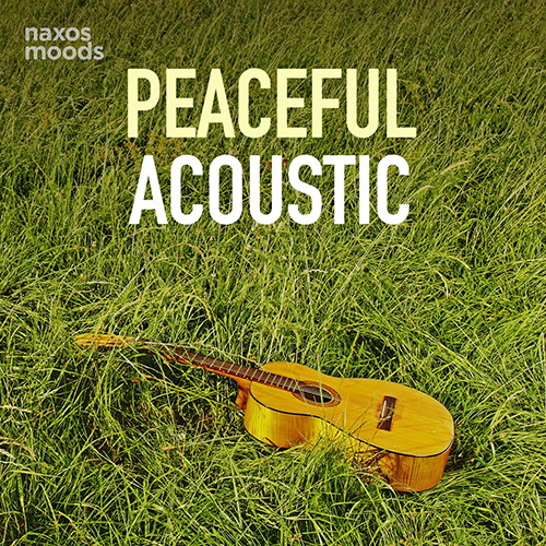 Peaceful Acoustic